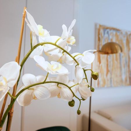 Tirso Suite مدريد المظهر الخارجي الصورة